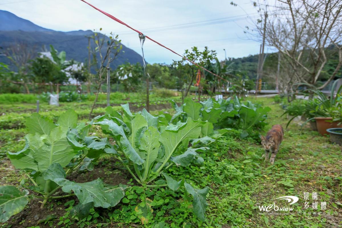 Wuju Wusu B&B Wenlan ภายนอก รูปภาพ
